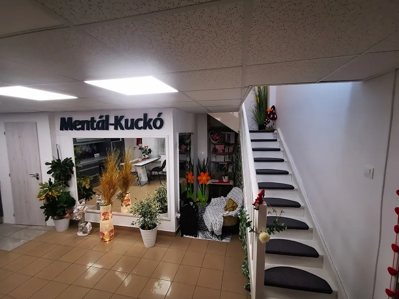 A Mentál-Kuckó recepciója és bejárati tere